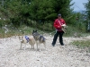 dscn5374-2