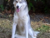 foto-per-sito-di-casa-zollo-014