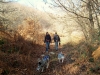 dscf3883_0