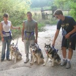 calore husky 030_20 (Copia)
