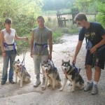calore husky 030_20 (Copia) (Copia)