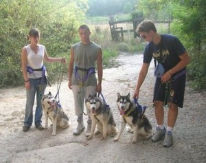 calore husky 030_20 (Copia) (Copia)