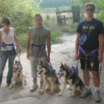 calore husky 032