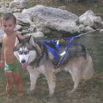 calore husky 044