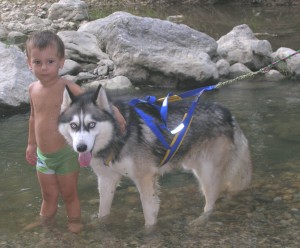calore husky 044
